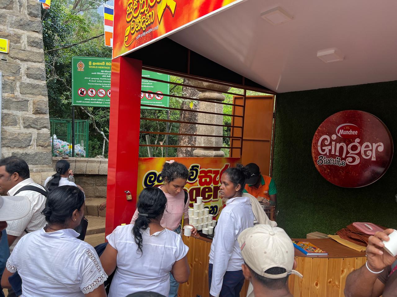 Ginger Sri Pada - Image 5